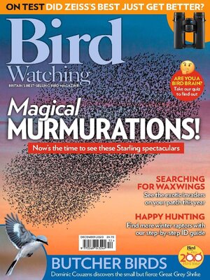 cover image of Bird Watching 